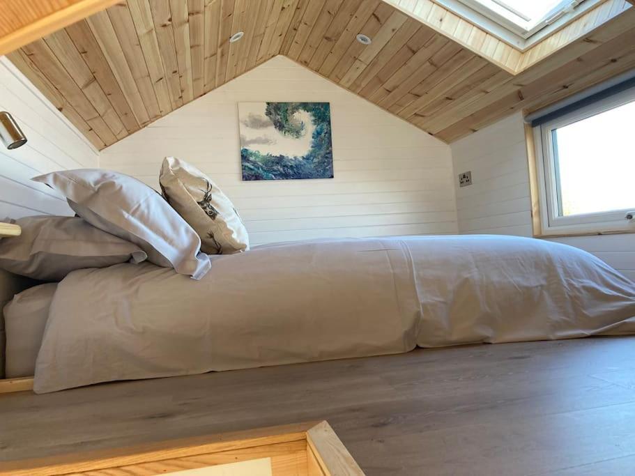 The Ashmere Tiny House Coldingham ภายนอก รูปภาพ
